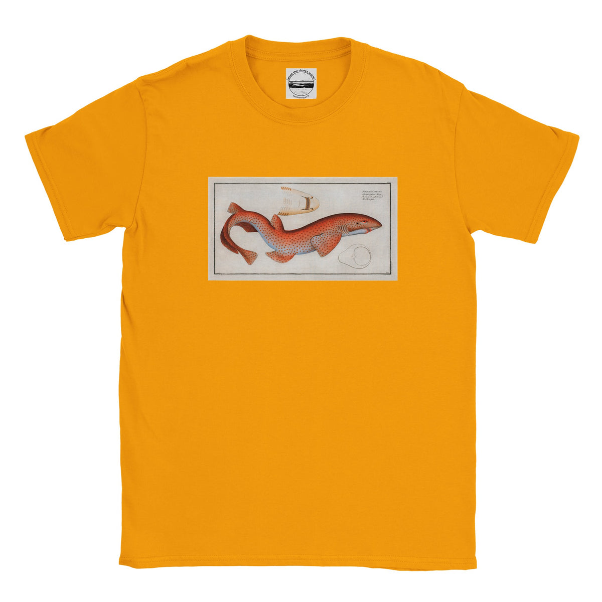 T-Shirt Requin «La Roussette» - Squalus Catulus - Couleur Or