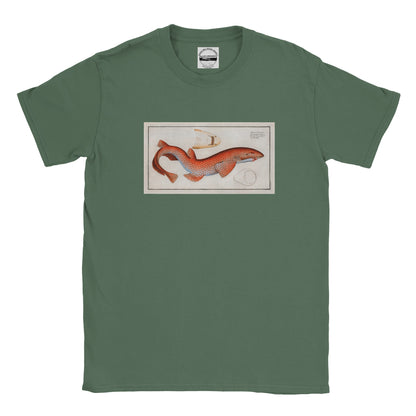 T-Shirt Requin «La Roussette» - Squalus Catulus - Couleur Vert trellis