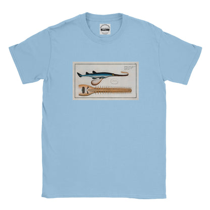 T-Shirt Requin «La Scie» - Embrio Squali Pristi - Couleur Bleu clair