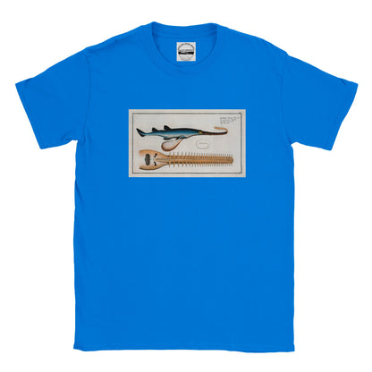 T-Shirt Requin «La Scie» - Embrio Squali Pristi - Couleur Bleu roi