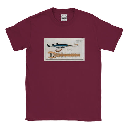 T-Shirt Requin «La Scie» - Embrio Squali Pristi - Couleur Bordeaux