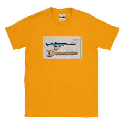 T-Shirt Requin «La Scie» - Embrio Squali Pristi - Couleur Or