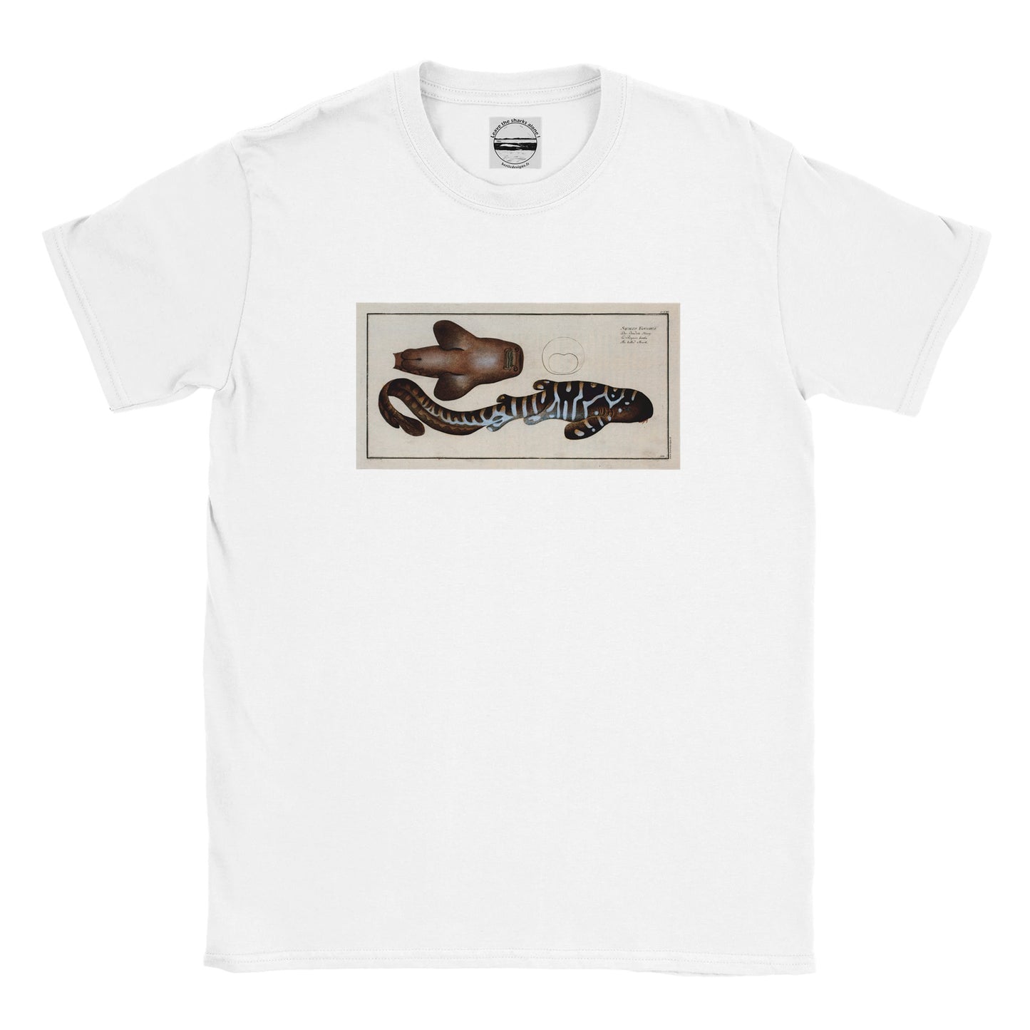 T-Shirt Requin «Le Barbu» - Squalus Fasciatus - Couleur Blanc