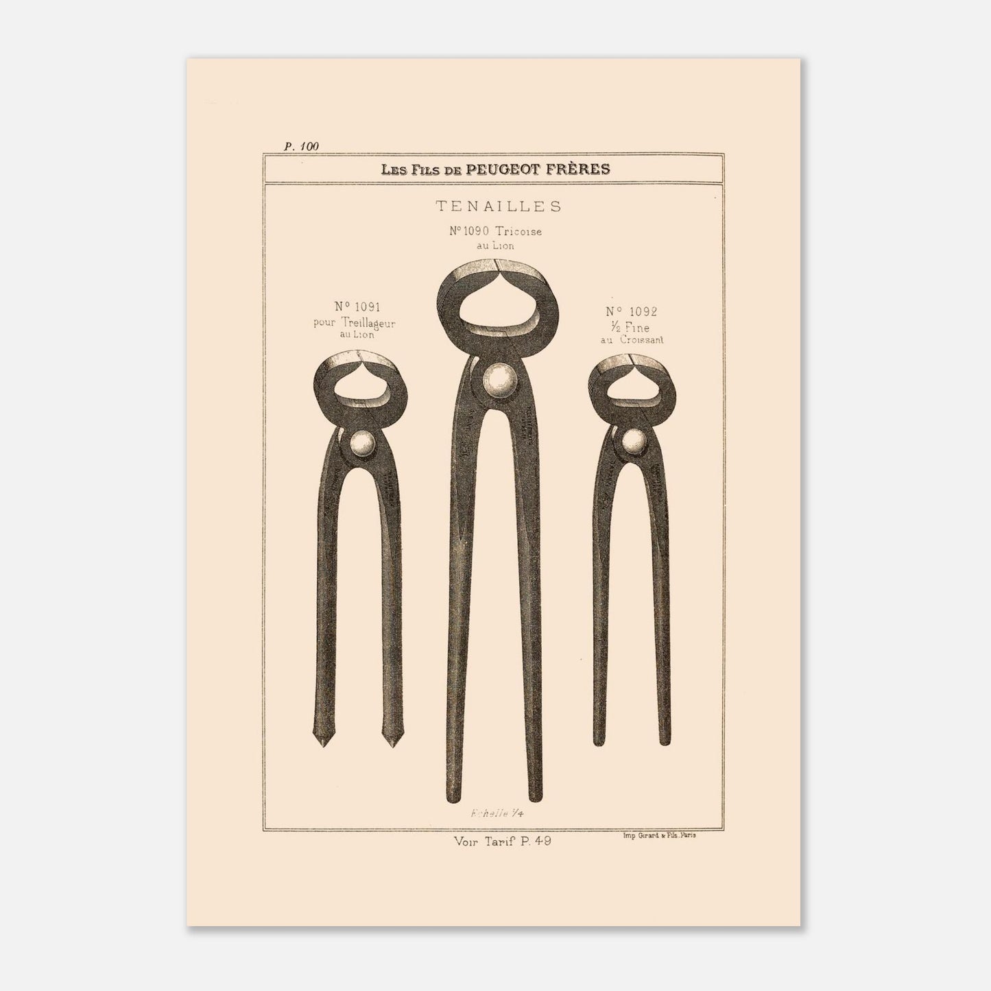 Tenailles - gravure d'outils robustes extraite du catalogue Peugeot Frères (21x29,7 cm (A4)). Gravure représentant trois modèles de tenailles de tailles et de conceptions différentes : une tricoise, une pour treillage, et une fine.