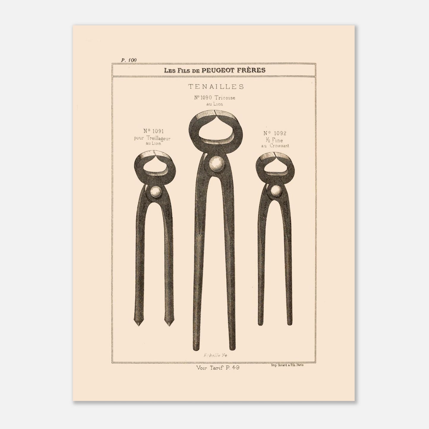 Tenailles - gravure d'outils robustes extraite du catalogue Peugeot Frères (30x40 cm). Gravure représentant trois modèles de tenailles de tailles et de conceptions différentes : une tricoise, une pour treillage, et une fine.