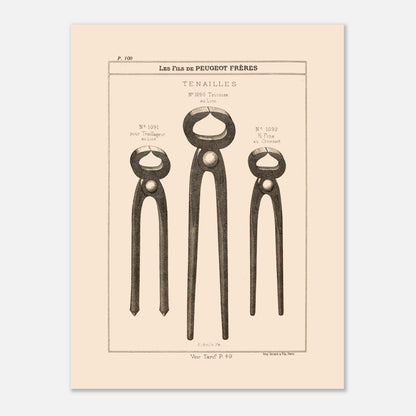 Tenailles - gravure d'outils robustes extraite du catalogue Peugeot Frères (30x40 cm). Gravure représentant trois modèles de tenailles de tailles et de conceptions différentes : une tricoise, une pour treillage, et une fine.