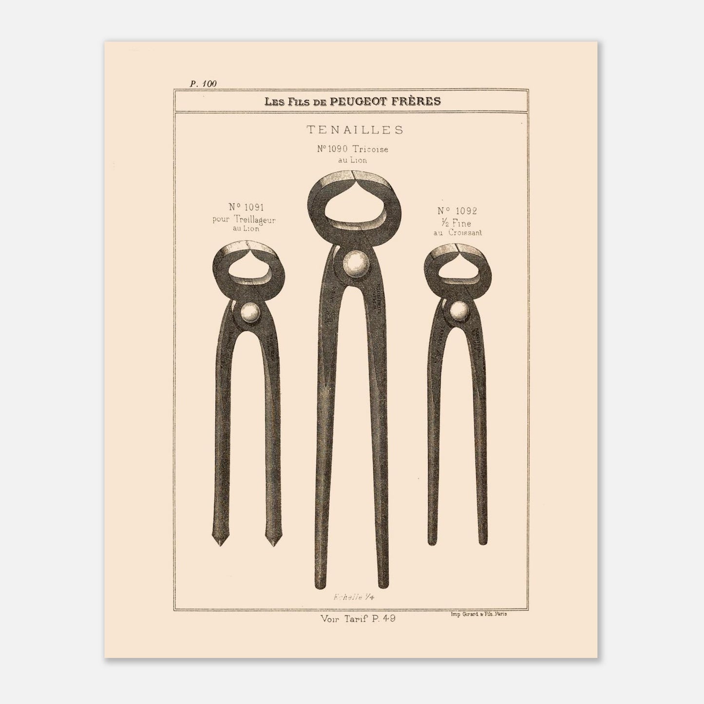 Tenailles - gravure d'outils robustes extraite du catalogue Peugeot Frères (40x50 cm). Gravure représentant trois modèles de tenailles de tailles et de conceptions différentes : une tricoise, une pour treillage, et une fine.
