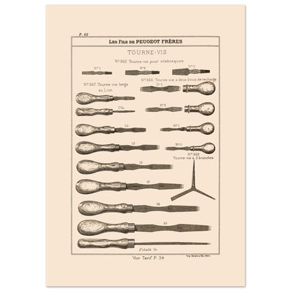 Planche de tournevis et outils de serrage - Catalogue Peugeot Frères 1885 (29,7x42 cm (A3)). Planche d'illustrations du catalogue Peugeot Frères présentant divers modèles de tournevis, numérotés et légendés, ainsi qu'une échelle.