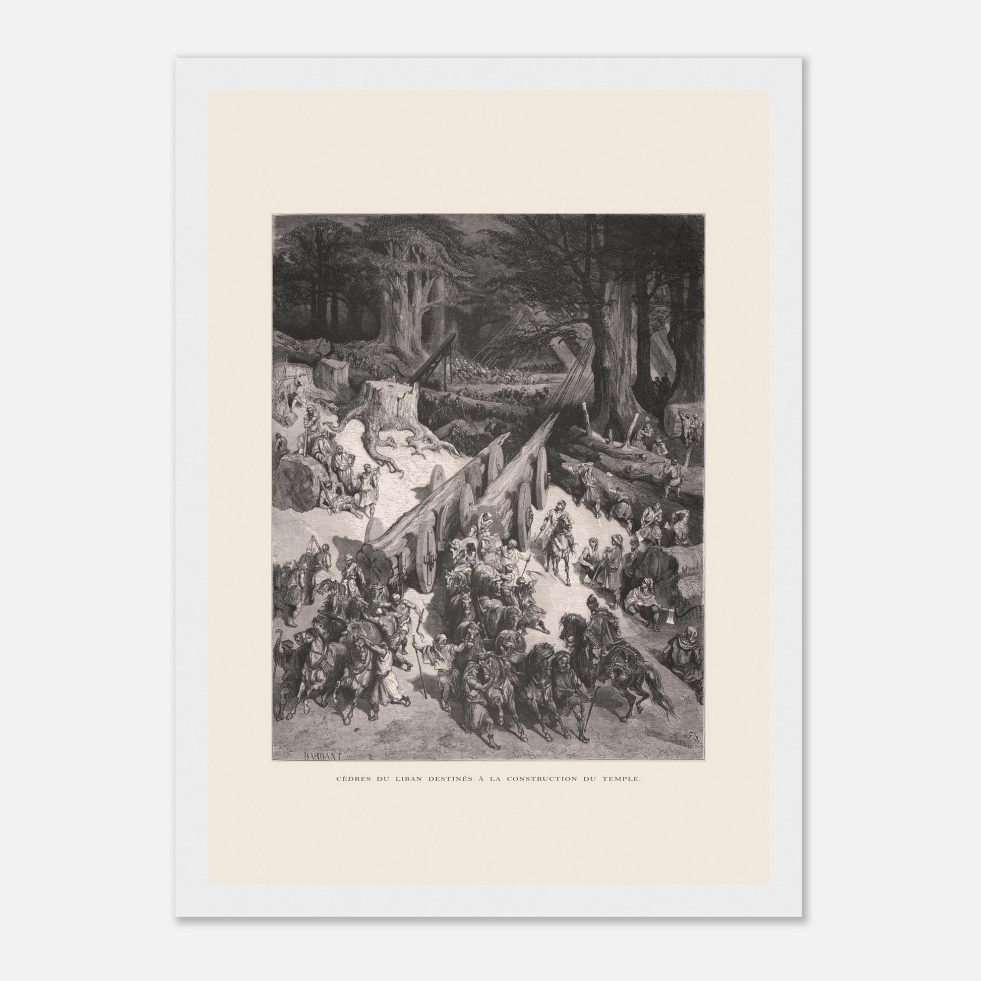 Planche ancienne : Transport des cèdres pour le Temple par Gustave Doré (21x29,7 cm (A4) / Cadre blanc). Estampe de Gustave Doré représentant le transport de cèdres du Liban destinés à la construction du temple, avec de nombreux hommes et chevaux.