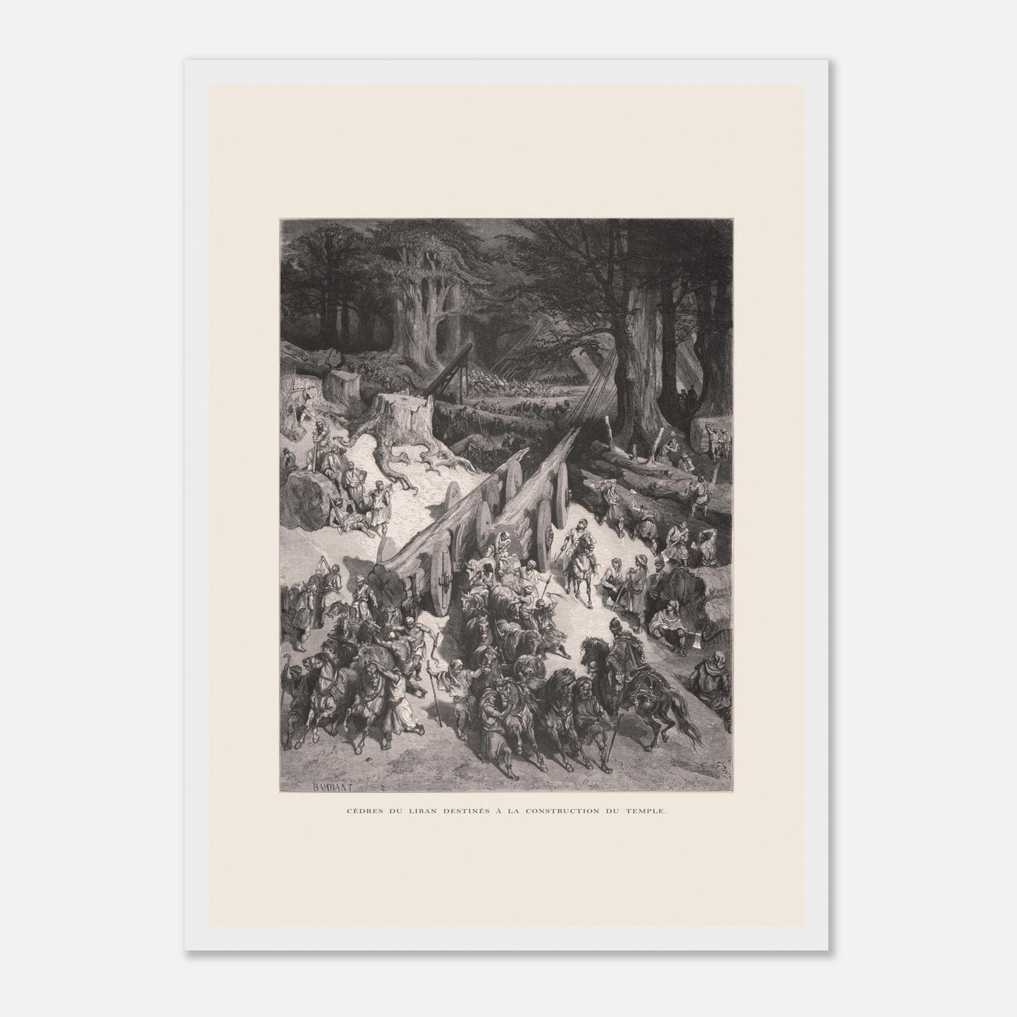 Planche ancienne : Transport des cèdres pour le Temple par Gustave Doré (29,7x42 cm (A3) / Cadre blanc). Estampe de Gustave Doré représentant le transport de cèdres du Liban destinés à la construction du temple, avec de nombreux hommes et chevaux.