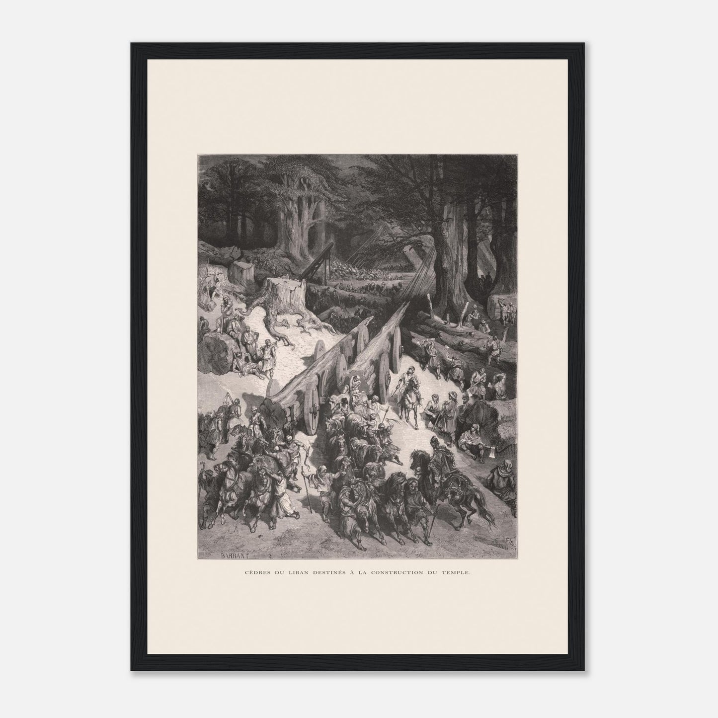 Planche ancienne : Transport des cèdres pour le Temple par Gustave Doré (29,7x42 cm (A3) / Cadre noir). Estampe de Gustave Doré représentant le transport de cèdres du Liban destinés à la construction du temple, avec de nombreux hommes et chevaux.