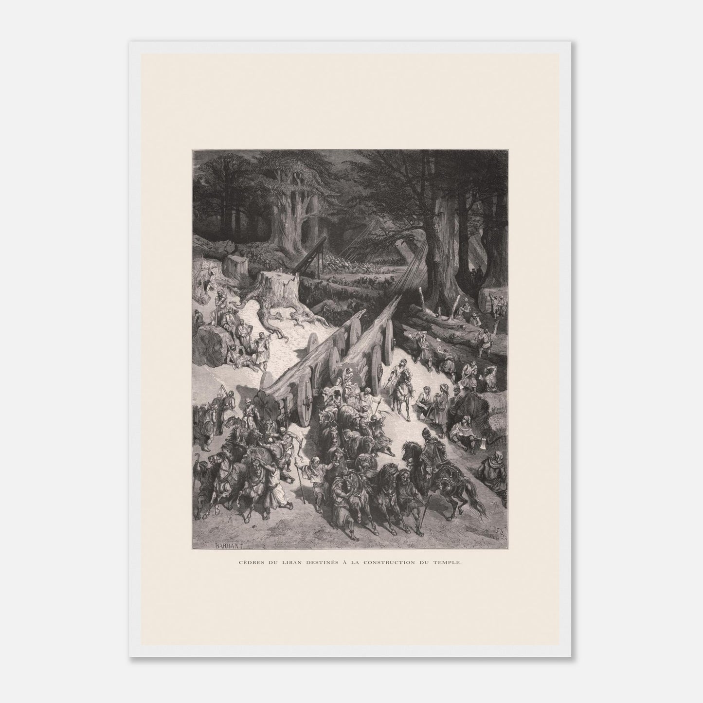 Planche ancienne : Transport des cèdres pour le Temple par Gustave Doré (42x59,4 cm (A2) / Cadre blanc). Estampe de Gustave Doré représentant le transport de cèdres du Liban destinés à la construction du temple, avec de nombreux hommes et chevaux.